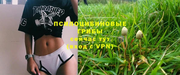 a pvp Богданович