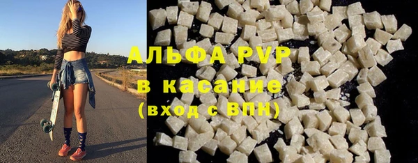 прущие грибы Белокуриха