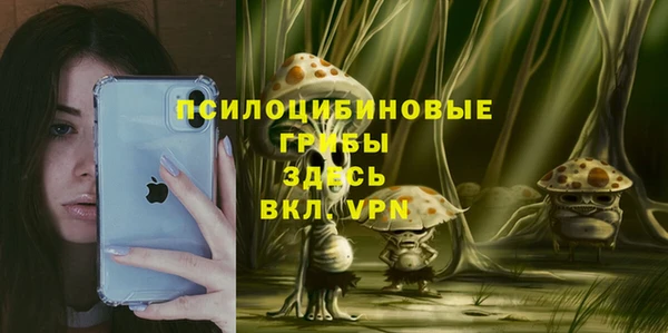 MESCALINE Бородино